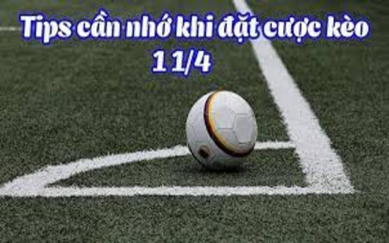 Tips đặt kèo 1 1/4 hiệu quả