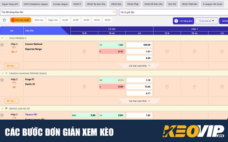 Các bước đơn giản xem kèo